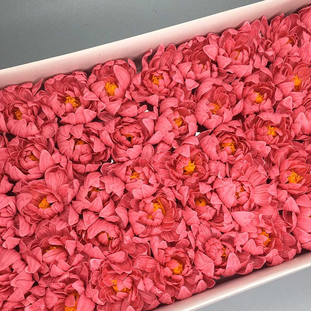 Хризантема — розовый коралл 50 шт