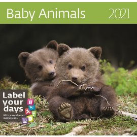 Календарь на 2021 Год (Baby Animals)