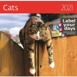 Календарь на 2021 Год (Cats)