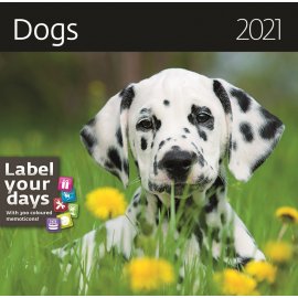 Календарь на 2021 Год (Dogs)