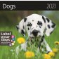 Календарь Dogs обложка