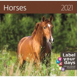Календарь на 2021 Год (Horses)