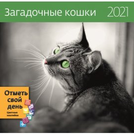 Календарь на 2021 Год (Загадочные кошки)