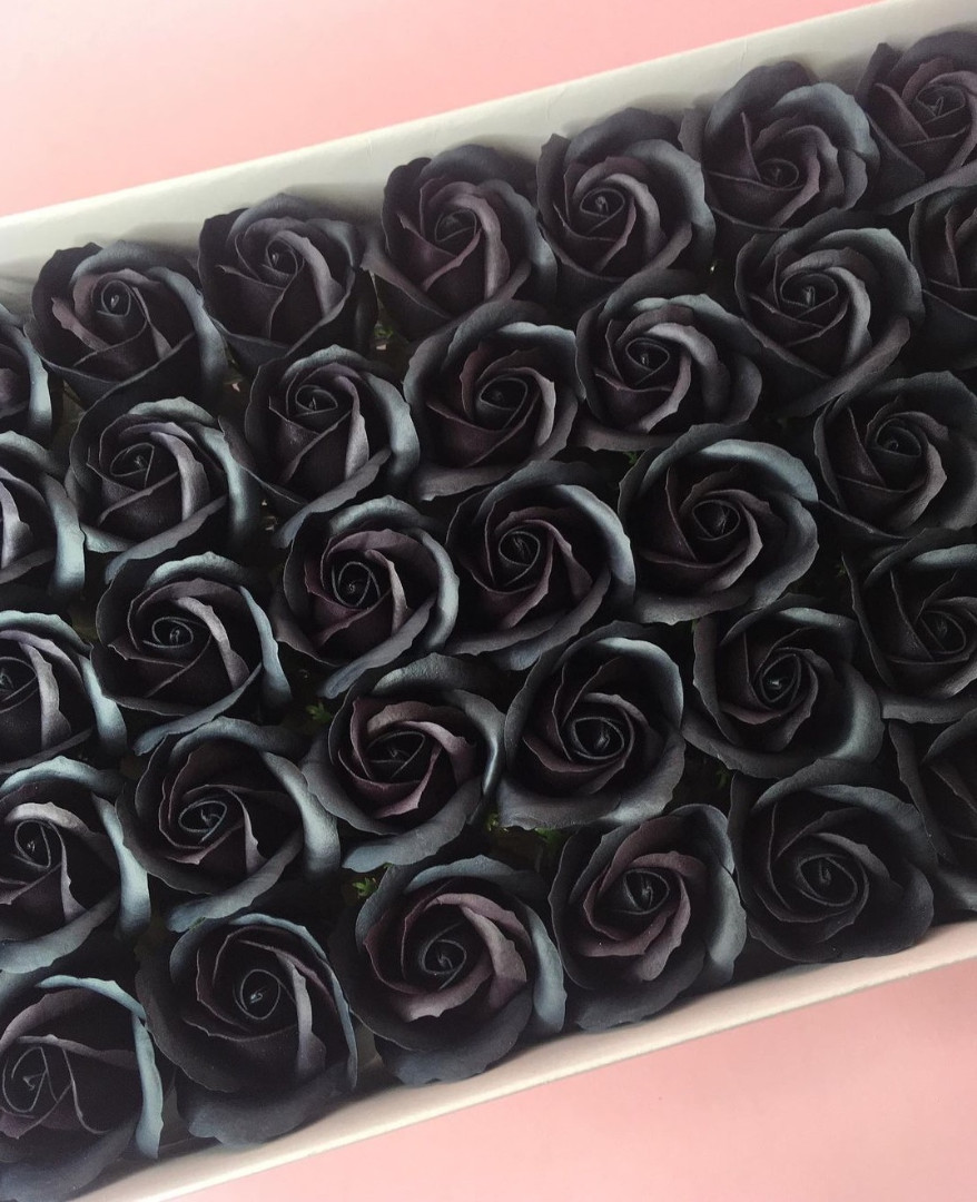 Роза — черная 50 шт