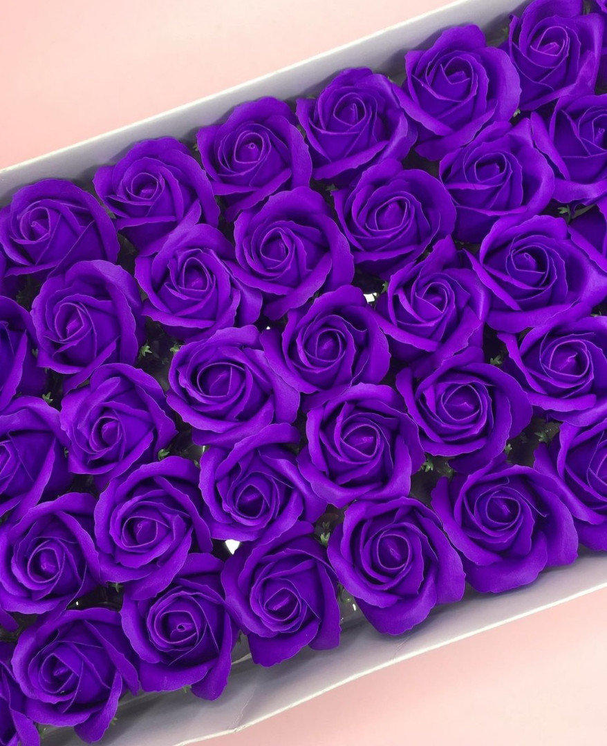 Роза — темно-фиолетовая 50 шт