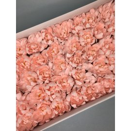 Хризантема — нежно-розовая 50 шт