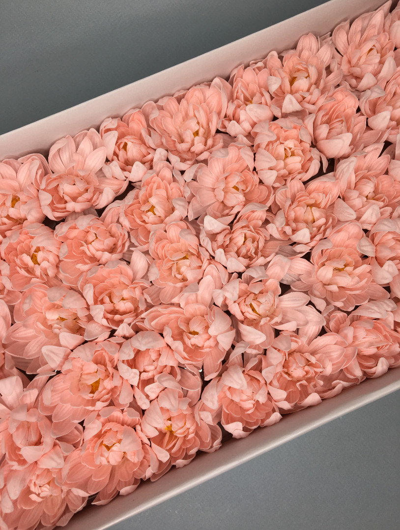 Хризантема — нежно-розовая 50 шт