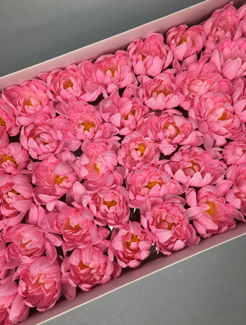 Хризантема — ярко-розовая 50 шт