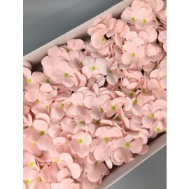 Гортензия — нежно-розовая 25 шт