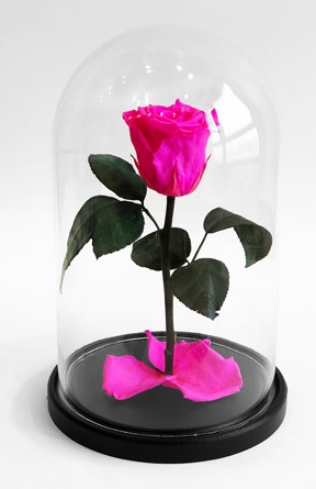 Роза в колбе, фуксия, 21х12 см