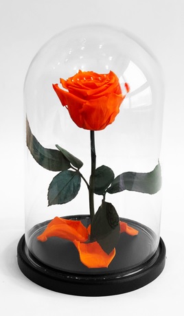 Роза в колбе, оранжевая, 21х12 см