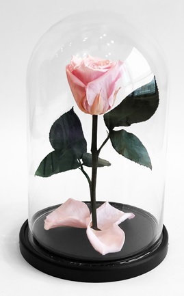 Роза в колбе, нежно-розовая, 21х12 см