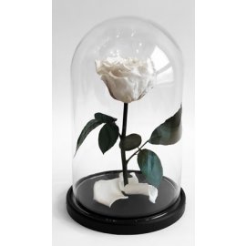 Роза в колбе, белая, 21х12 см