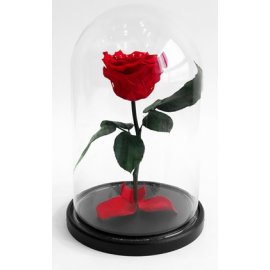 Роза в колбе, красная, 21х12 см