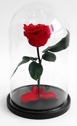 Роза в колбе, красная, 21х12 см