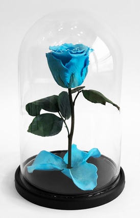 Роза в колбе, голубая, 21х12 см