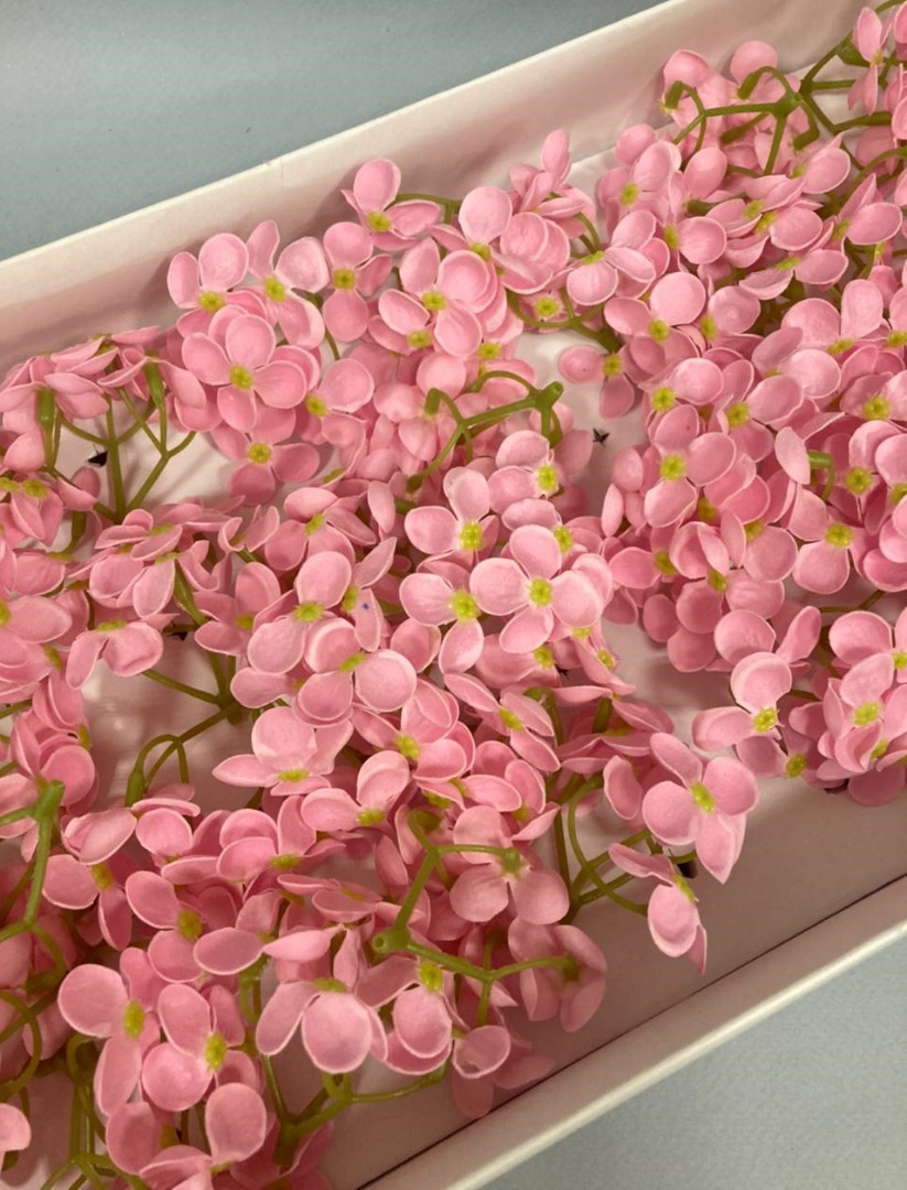 Гортензия мелкая — розовая 40 шт