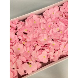 Гортензия — розовая 1 25 шт