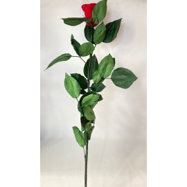 Роза красная 60 см на стебле