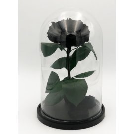 Роза в колбе XL, черная, 27х15 см