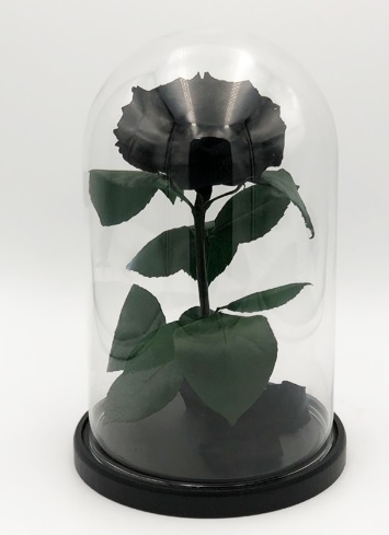 Роза в колбе XL, черная, 27х15 см