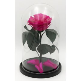 Роза в колбе бутон M, малиновая, 27х15 см