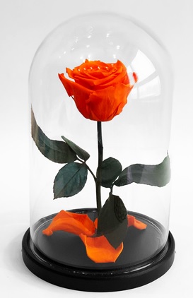 Роза в колбе M, оранжевая, 27х15 см