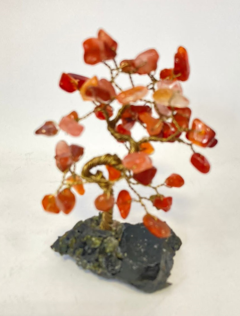 Малое дерево сосна сердолик