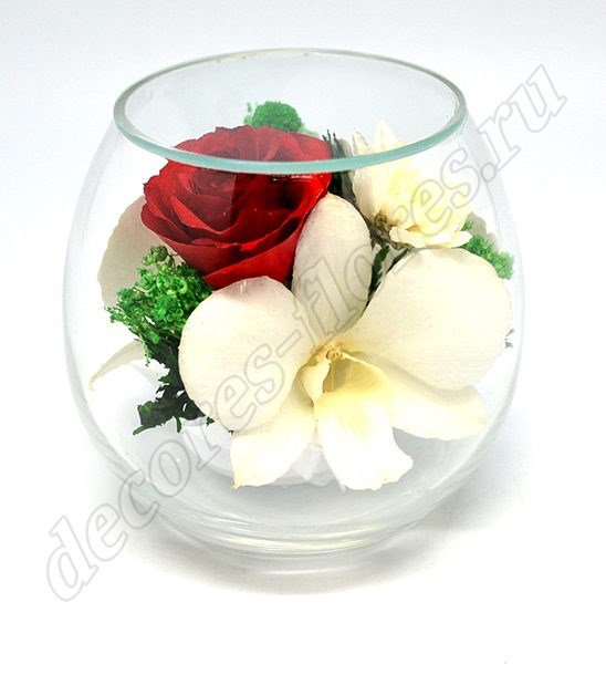 Белые орхидеи и роза