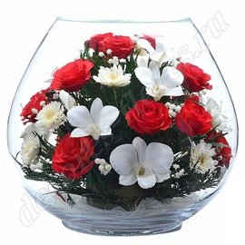 Красные розы и белые орхидеи по кругу